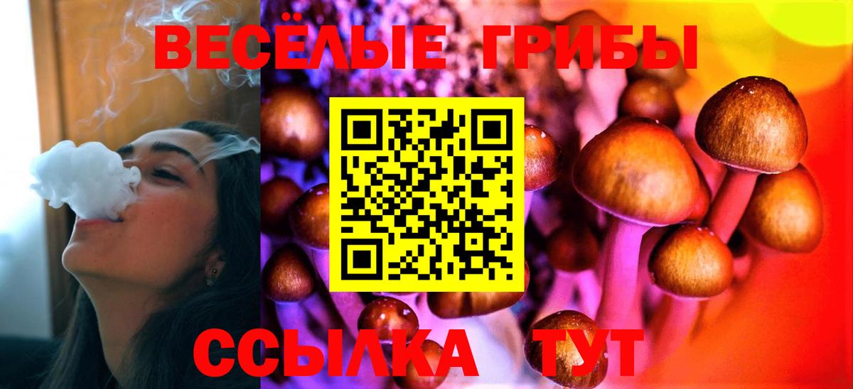 Псилоцибиновые грибы мухоморы Калининград
